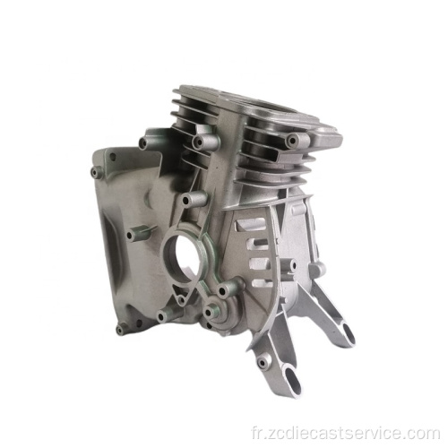 OEM Custom Gesoline Engine Die Casting Pièces